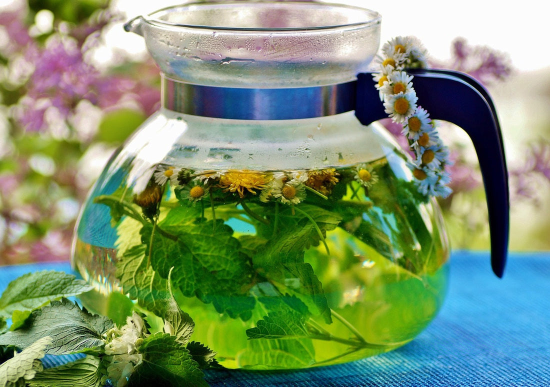 Tisana lassativa